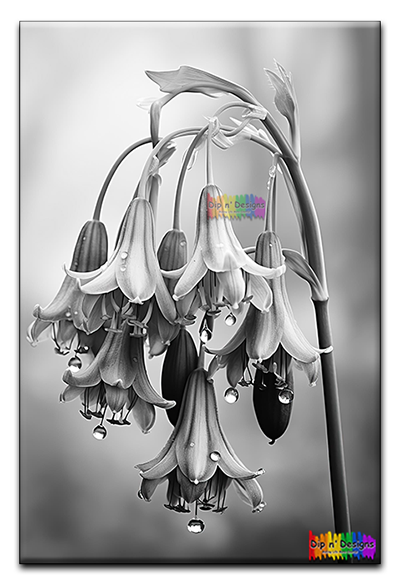 Fawn Lily Flowers - Uncolored - Dip n' Designs