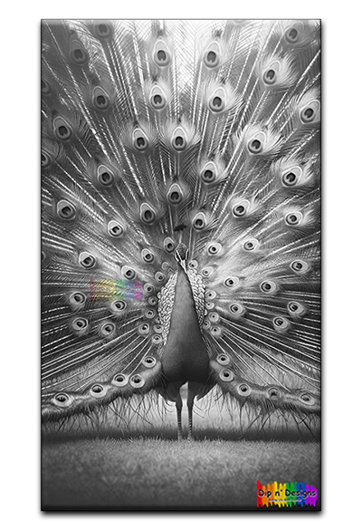 Peacock Selfie - Uncolored - Dip n' Designs