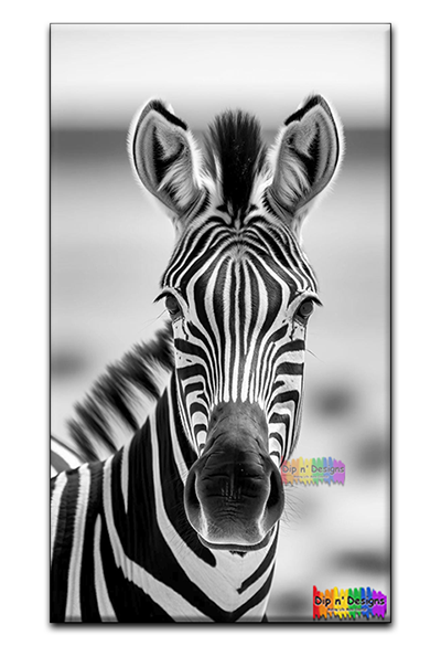 Zebra - Uncolored