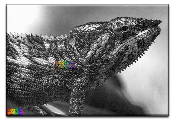 Chameleon 2 uncolored - Dip n' Designs - Colored Pencil Wall Art