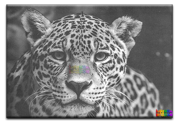 Cheetah uncolored - Dip n' Designs - Colored Pencil Wall Art