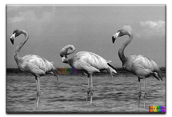 The Three Flamingos uncolored - Dip n' Designs - Colored Pencil Wall Art