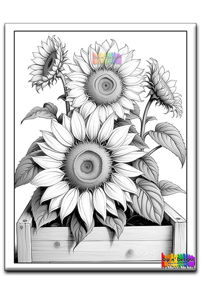 Sunflowers in Wooden Box - Uncolored - Dip n' Designs