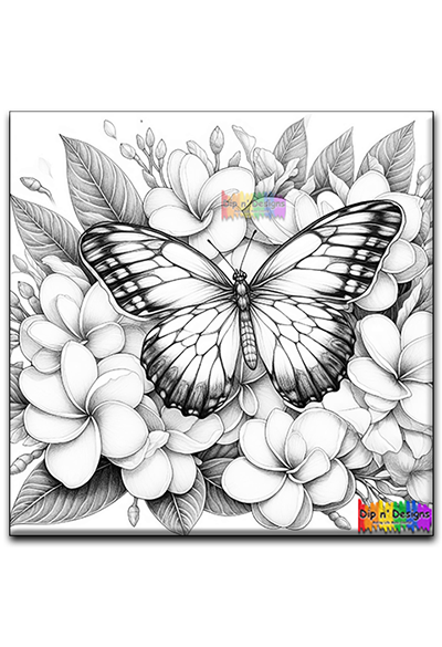 Butterfly and Plumeria Flowers uncolored - Dip n' Designs - Colored Pencil Wall Art