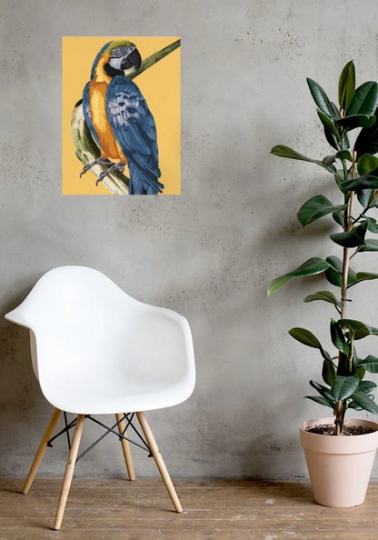 Abstract Woman Wall Art