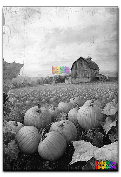 Field of Pumpkins uncolored - Dip n' Designs - Colored Pencil Wall Art