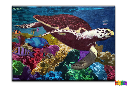 Hawksbill Sea Turtle - Dip n' Designs - Colored Pencil Wall Art