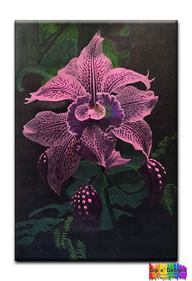 Pink Lady's Slipper Orchid - Dip n' Designs - Colored Pencil Wall Art