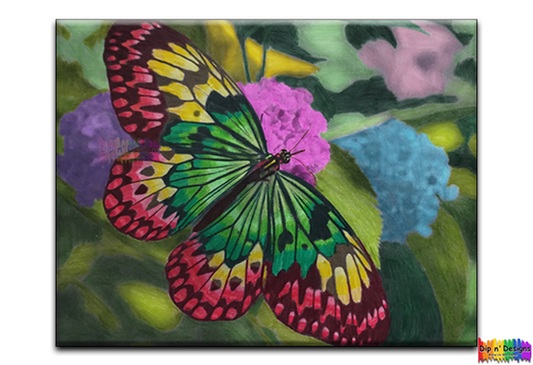Rasta Monarch Butterfly - Dip n' Designs - Colored Pencil Wall Art