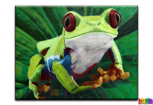 Red-Eyed Green Tree Frog - Dip n' Designs - Colored Pencil Wall Art